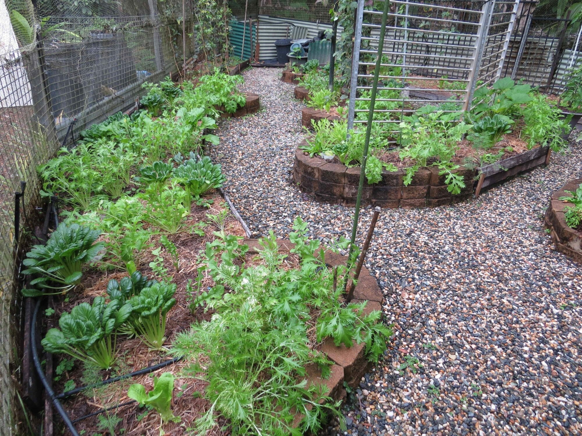 21-vegetable-garden