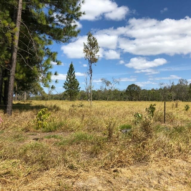 Lot 2  - 1063 Koah Road, Koah, Qld 4881