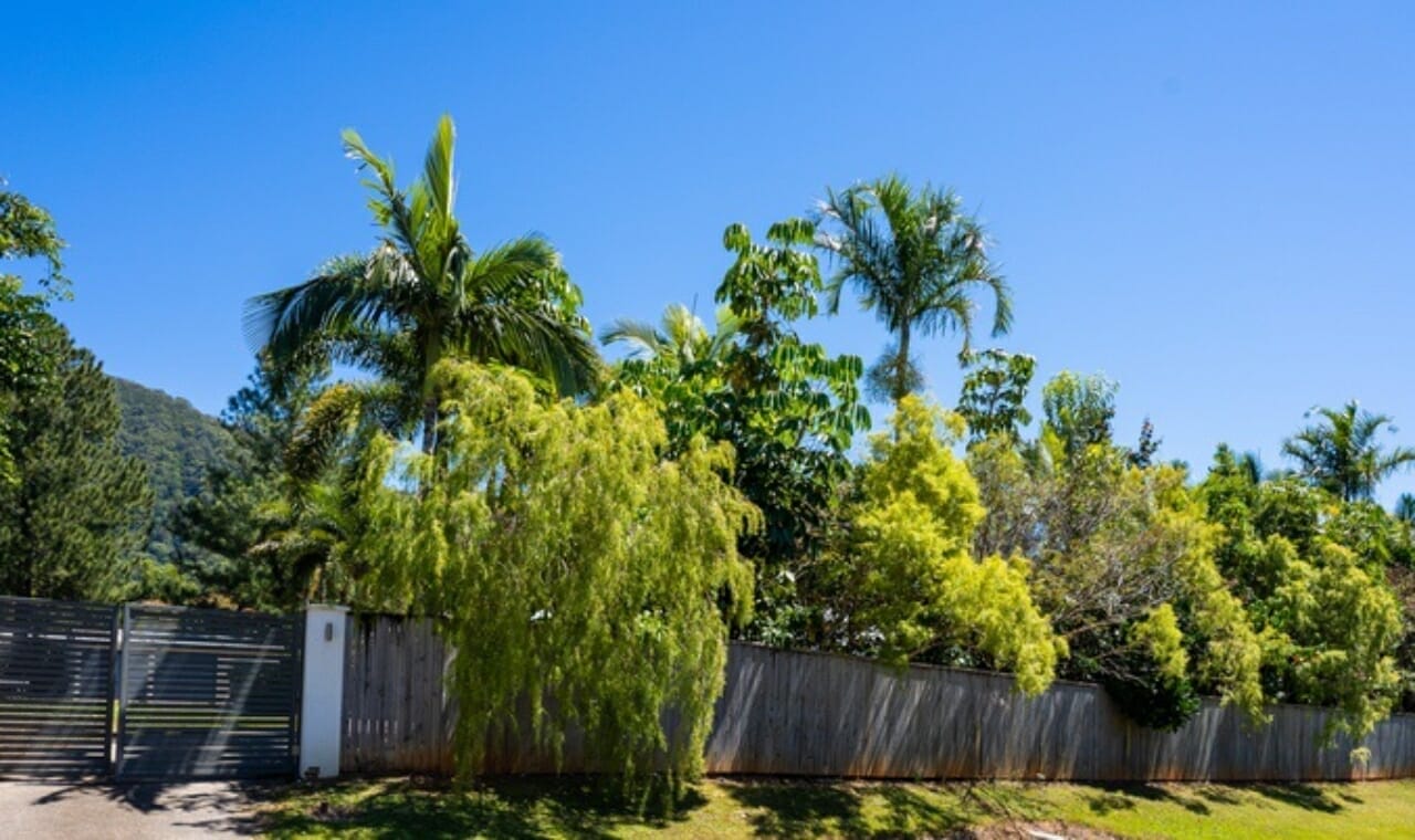 24 James Cook Drive, Kewarra Beach, Qld 4879 Angela Martin Real