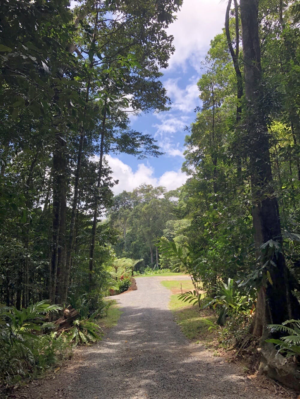 9 Masons Road, Kuranda0013