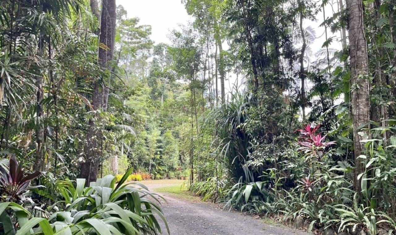 2b Fairyand road0034