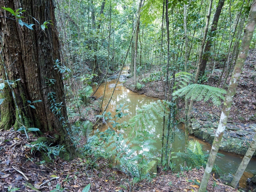 12 Jarawee Road, Kuranda0000