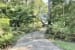41 Butler Drive0011