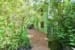 68 Greenforest Road0000