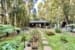 originals 6 sandalwood close0003