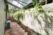 4 Shane Court Kuranda0012