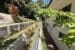 4 Shane Court Kuranda0021